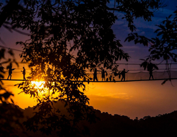 Canopy Walk in Nyungwe National Park